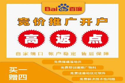 百度竞价包年服务：某行业领导品牌的成功故事